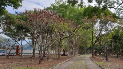 東勢林業文化園區冬景  